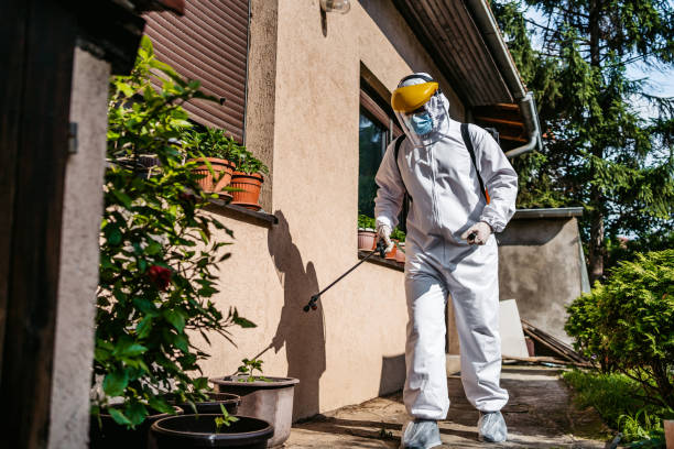 Best Pest Removal Services  in Ross, CA