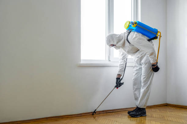 Best Ant Control Services  in Ross, CA