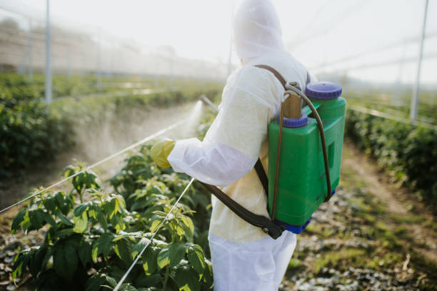 Best Mosquito Control Services  in Ross, CA